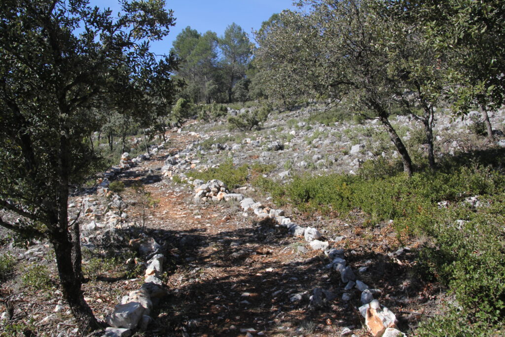 ruta de senderismo en Orcera Sierra de Segura