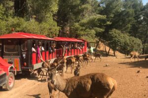 dónde ver fauna y flora de la sierra de segura cazorla. Turismo rural